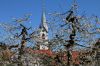 Filename=IMG_1872.JPG
Filesize=240KB
Dimensions=1040x693
Date added=Apr 20, 2015 IMG_1872.JPG