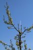 Filename=IMG_1950.JPG
Filesize=101KB
Dimensions=693x1040
Date added=Apr 20, 2015 IMG_1950.JPG
