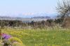 Filename=IMG_2429.JPG
Filesize=208KB
Dimensions=1040x693
Date added=Apr 20, 2015 IMG_2429.JPG
