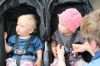 Filename=IMG_7772.JPG
Filesize=123KB
Dimensions=1040x693
Date added=Jun 26, 2017 IMG_7772.JPG